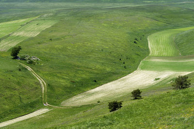 High angle view of people on grassy field