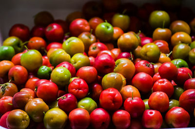 Close-up of tomatoes