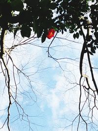 Low angle view of silhouette bare tree against sky