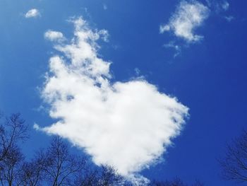 Low angle view of trees against blue sky