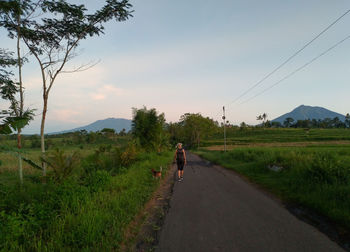 People walking on road