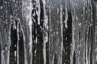 Full frame shot of wet tree trunk during winter