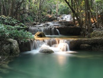 Waterfall in forest