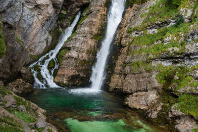 Scenic view of waterfall in forest