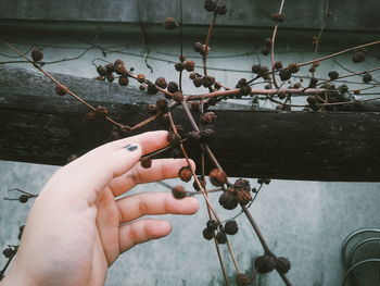 Close-up of person holding hands