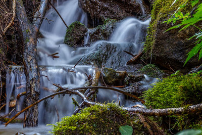 Water flowing through rocks in forest