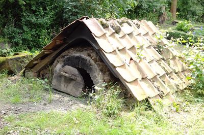 Abandoned building in field