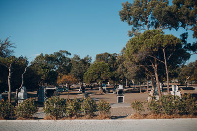 Footpath by trees against clear blue sky