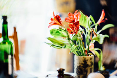 Close-up of flowers in restaurant