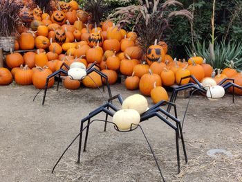 Pumpkins in market stall