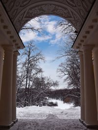 Low angle view of trees and building against sky during winter