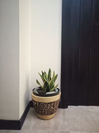 Close-up of potted plant on table at home