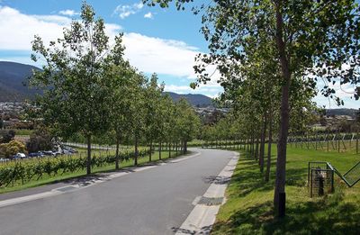 Road amidst trees against sky