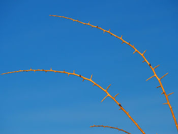 Low angle view of barbed wire against clear blue sky