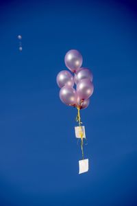 Low angle view of balloons against blue sky