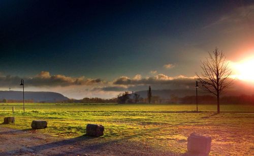 Scenic view of field against sky