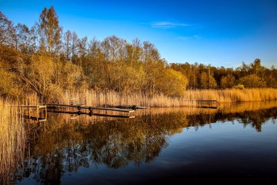 Scenic view of lake in forest against sky