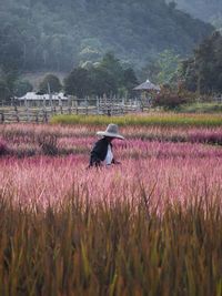 Scenic view of field