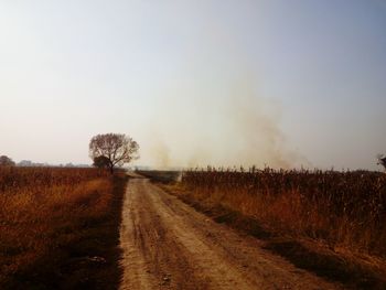 Dirt road amidst field against clear sky during foggy weather