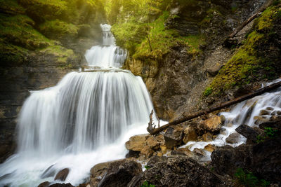 Scenic view of waterfall in forest