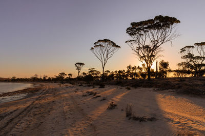 Silhouette trees on field against clear sky during sunset