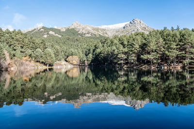 Reflection of trees in lake against clear sky