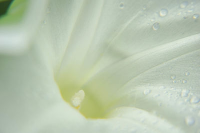 Full frame shot of water