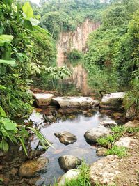 Scenic view of waterfall