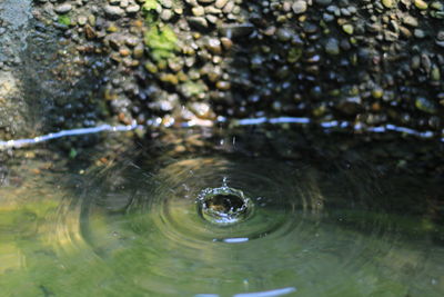 High angle view of water in a lake