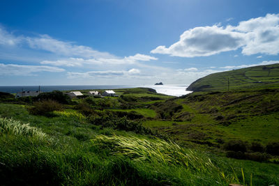 Scenic view of green landscape and sea against sky