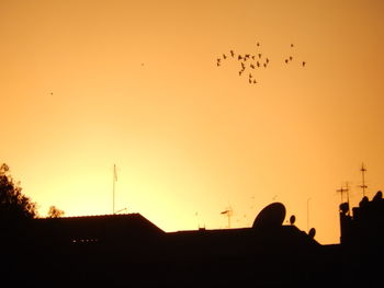 Silhouette birds flying in sky during sunset