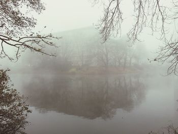 Reflection of tree in lake against sky during foggy weather