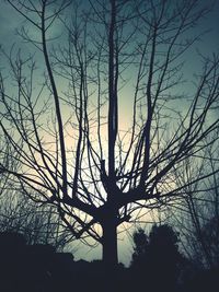 Silhouette bare trees against sky during sunset