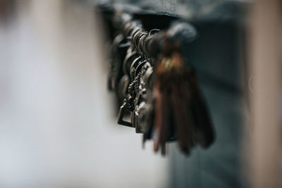 Close-up of black hanging on metal against wall