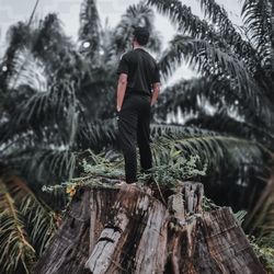 Rear view of man standing by tree trunk