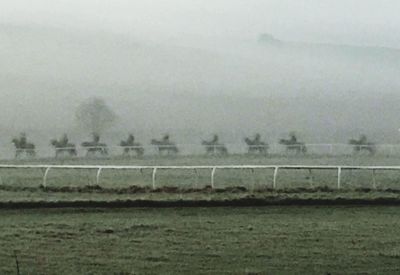 Scenic view of field during foggy weather