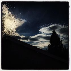 Low angle view of silhouette trees against sky