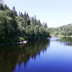 Scenic view of lake in forest against clear sky