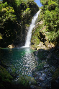 Scenic view of waterfall in forest