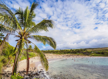 Palm trees on beach against sky