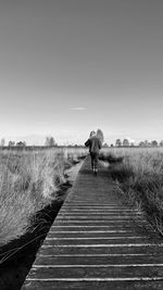 Paths in natural park high fens belgium
