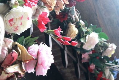 Close-up of pink flowers blooming outdoors