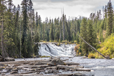 Scenic view of waterfall in forest against sky