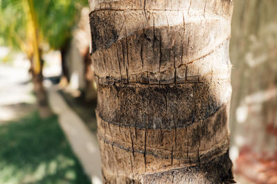 Close-up of wooden fence