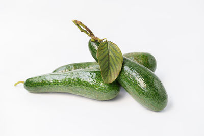 Close-up of green pepper against white background