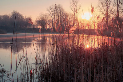 Scenic view of lake against sky during sunset