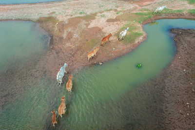 High angle view of rocks in sea