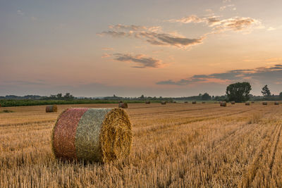 Round haystacks in the field, horizon and clouds in the sky after sunset