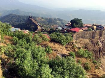 High angle view of plants on mountain