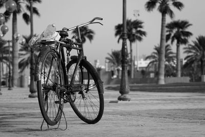 Bicycle against trees in city